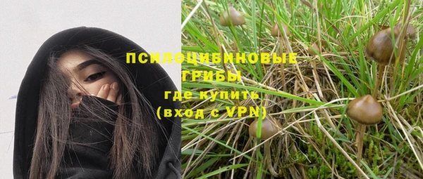 ПСИЛОЦИБИНОВЫЕ ГРИБЫ Алексин