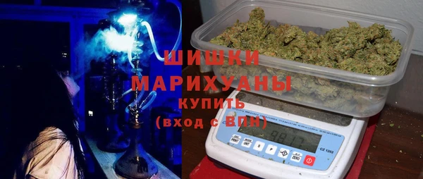 эйфоретик Арсеньев