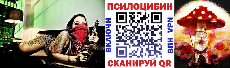 Купить закладки  Вичуга  Галлюциногенные грибы Psilocybe 